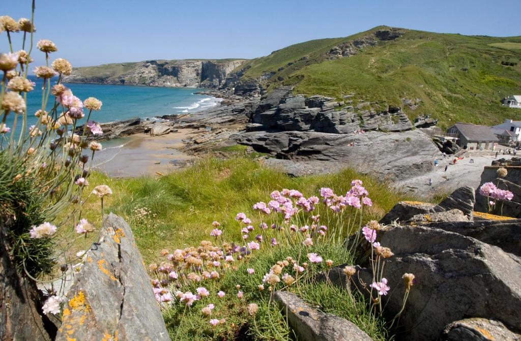 Port William Inn Tintagel Bagian luar foto